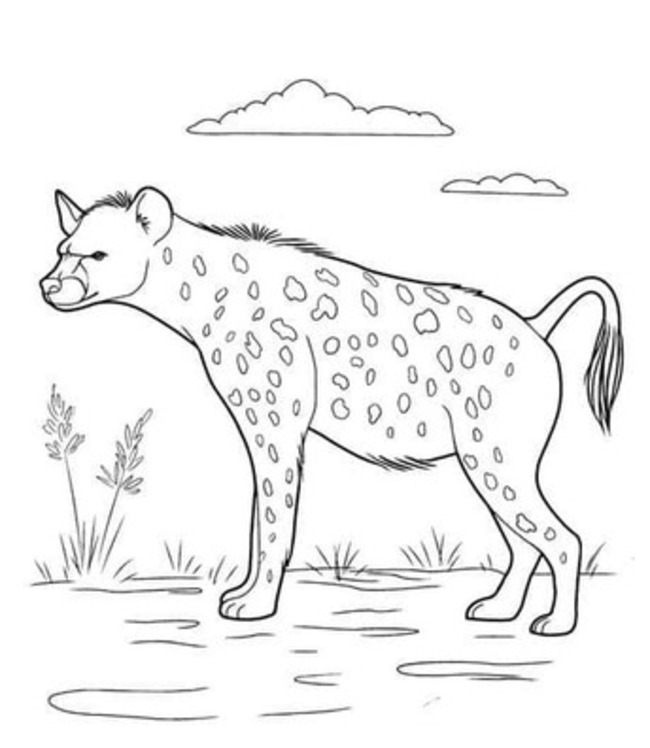 Hyena velmi roztomilý omalovánka
