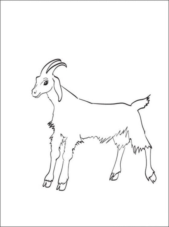 Kreslení koza k vytisknutí zdarma omalovánka