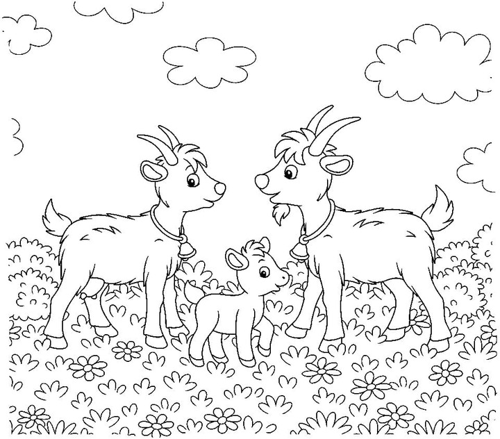 Kreslení koza rodiny omalovánka