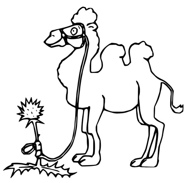 Nakresli Velbloud Tisknutelné omalovánka