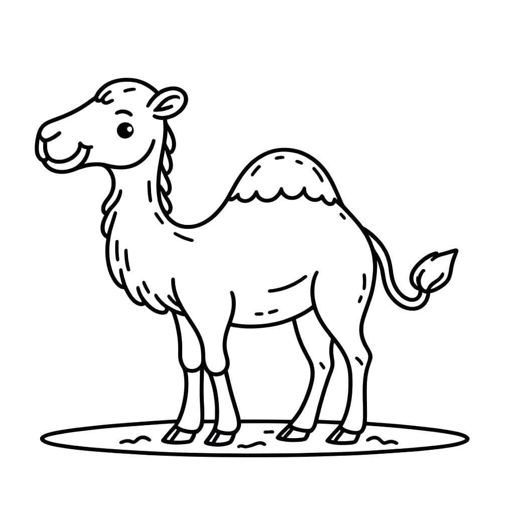 Velbloud 6 omalovánka