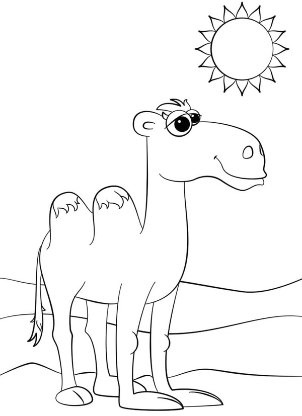 Velbloud 7 omalovánka
