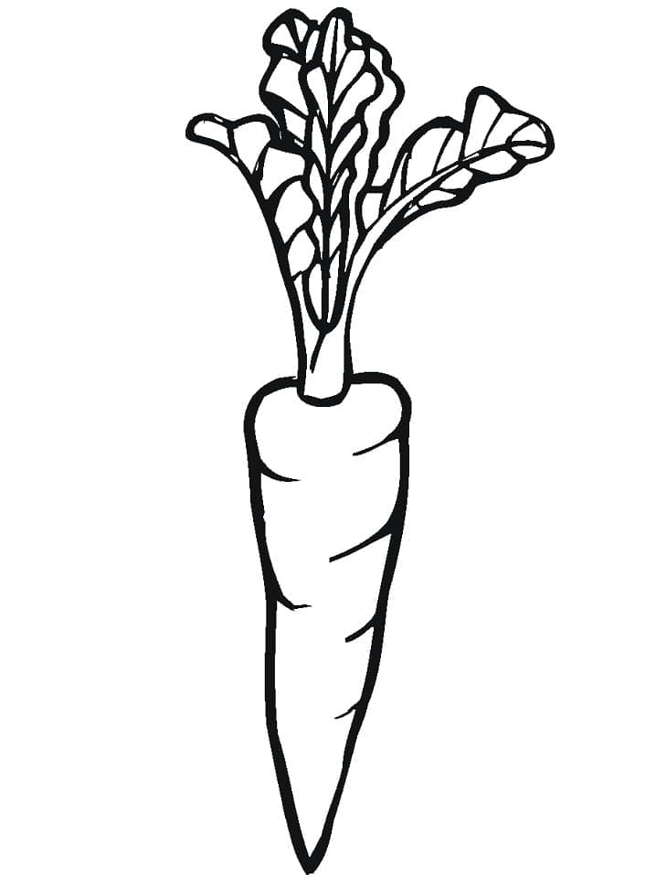 Mrkev k vytisknutí omalovánka
