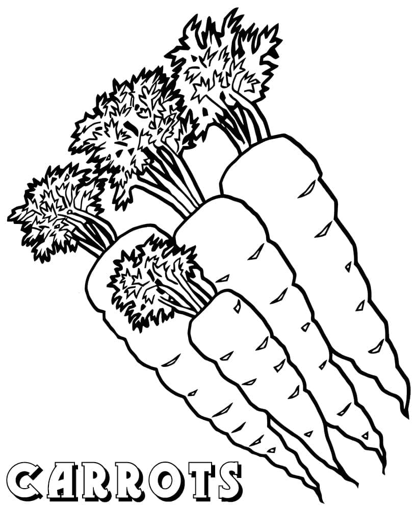 Mrkev pro děti omalovánka