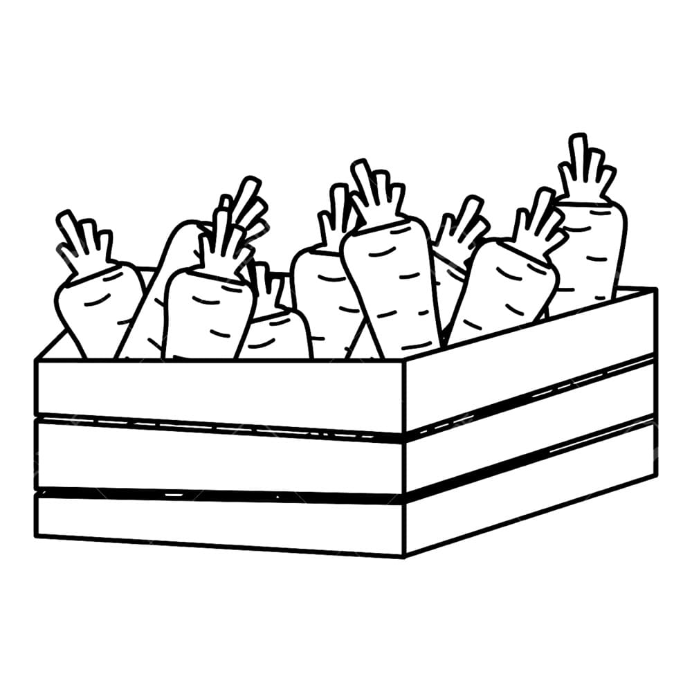 Mrkev velmi snadný omalovánka