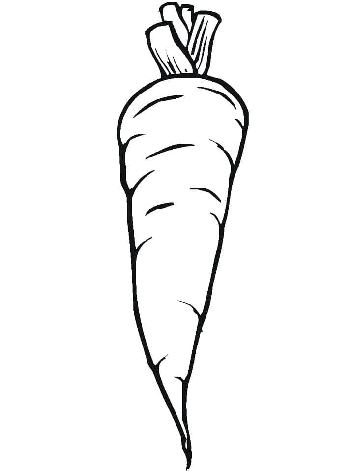 Mrkev zdarma základní omalovánka