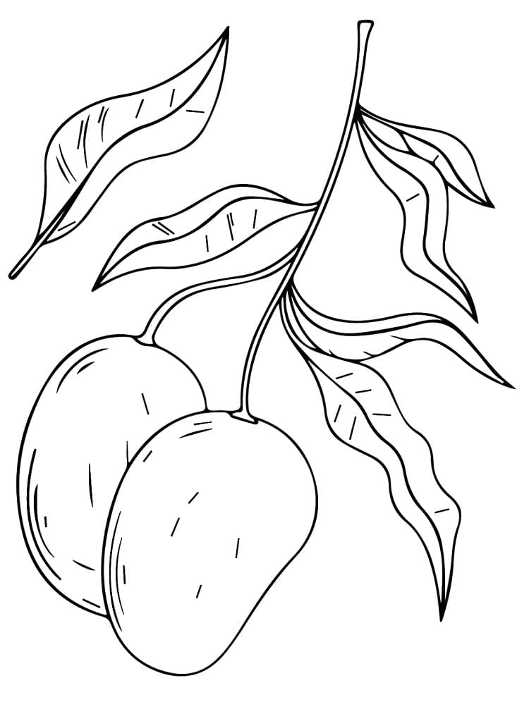 Nakreslete Ovoce snadný u dětí omalovánka