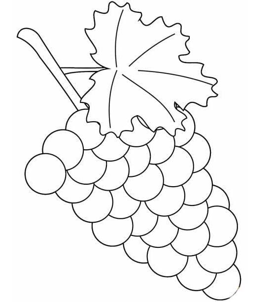 Nakreslete Ovoce tisknutelné omalovánka