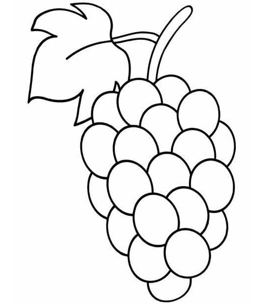 Nakreslete Ovoce u dětí omalovánka