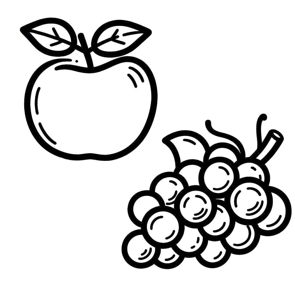 Ovoce 3 omalovánka