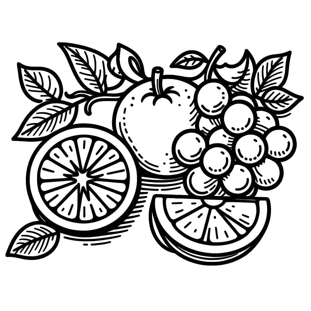 Ovoce 8 omalovánka