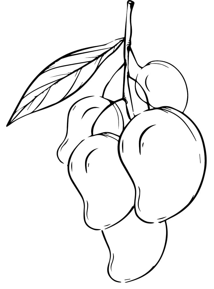 Ovoce prostý u dětí omalovánka