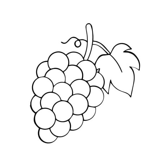 Ovoce snadný tisknutelné omalovánka