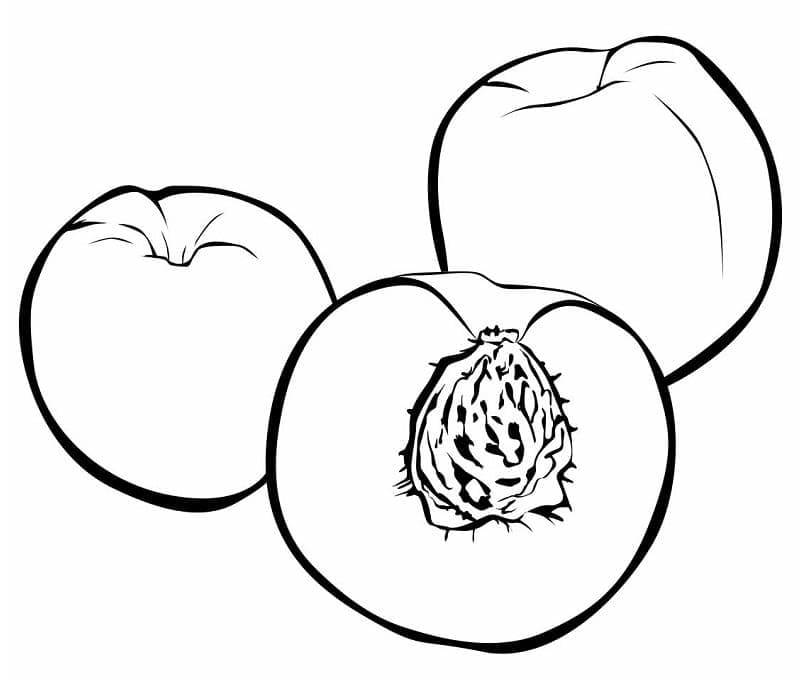 Ovoce tisknutelné omalovánka