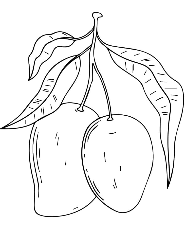 Ovoce zdarma snadný omalovánka