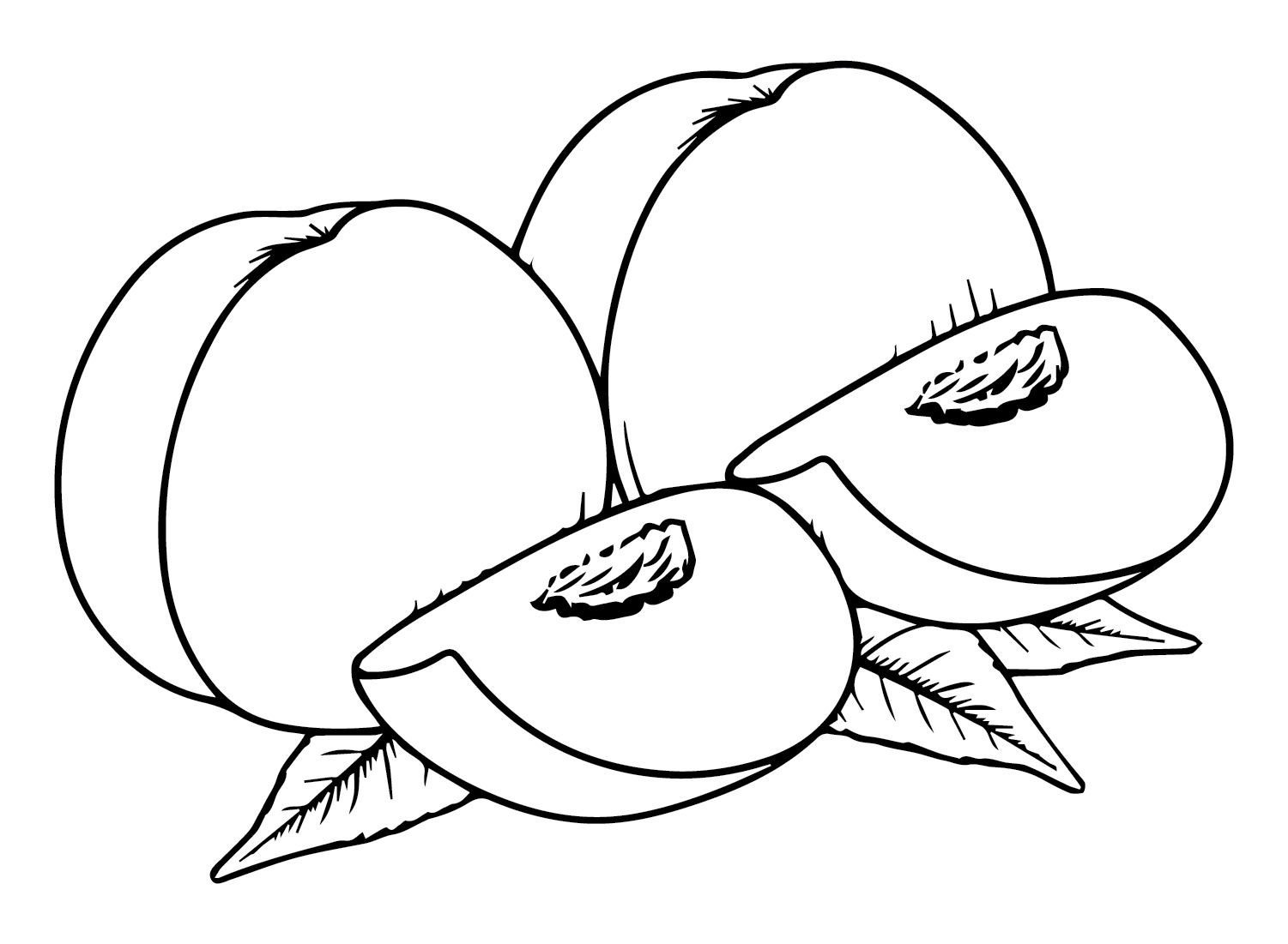 Broskev 2 omalovánka