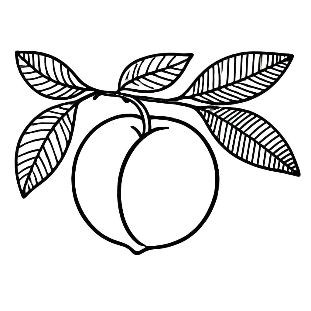 Broskev tisknutelné omalovánka