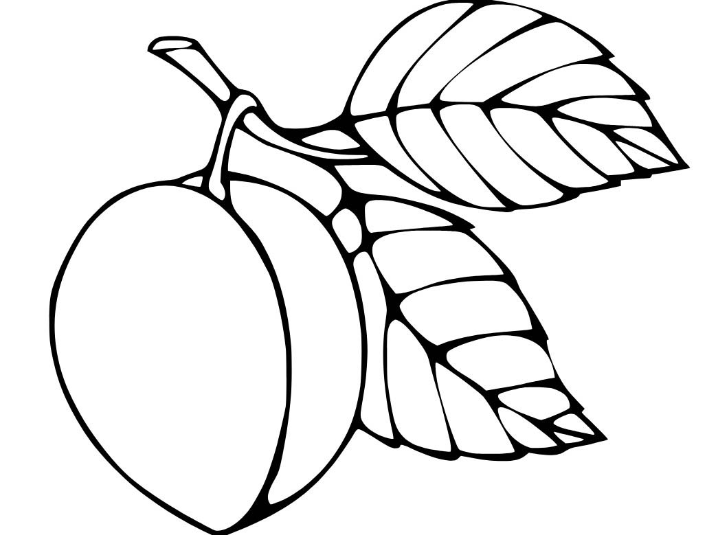 Broskev zdarma pro děti omalovánka