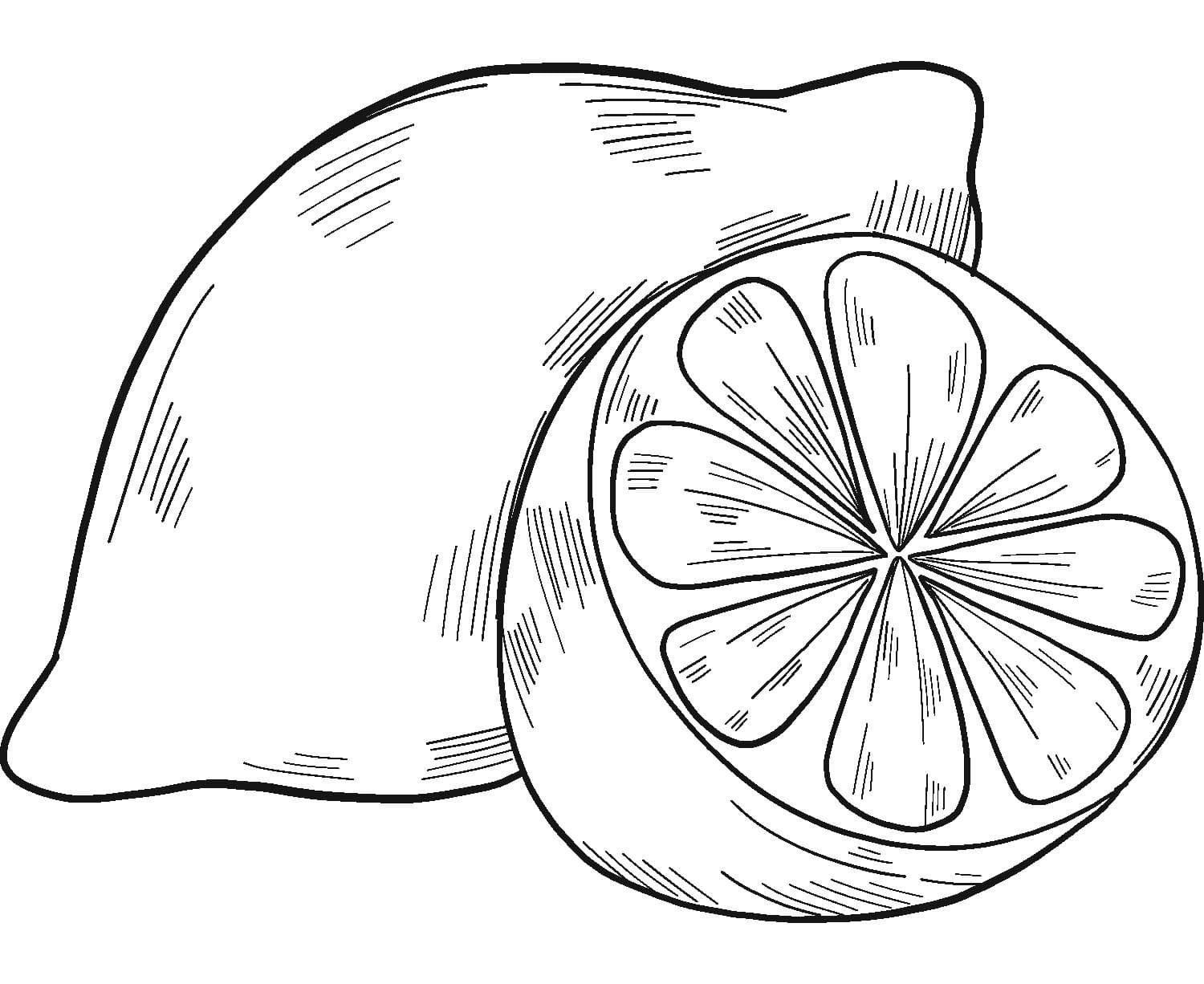 Citrón pro děti omalovánka