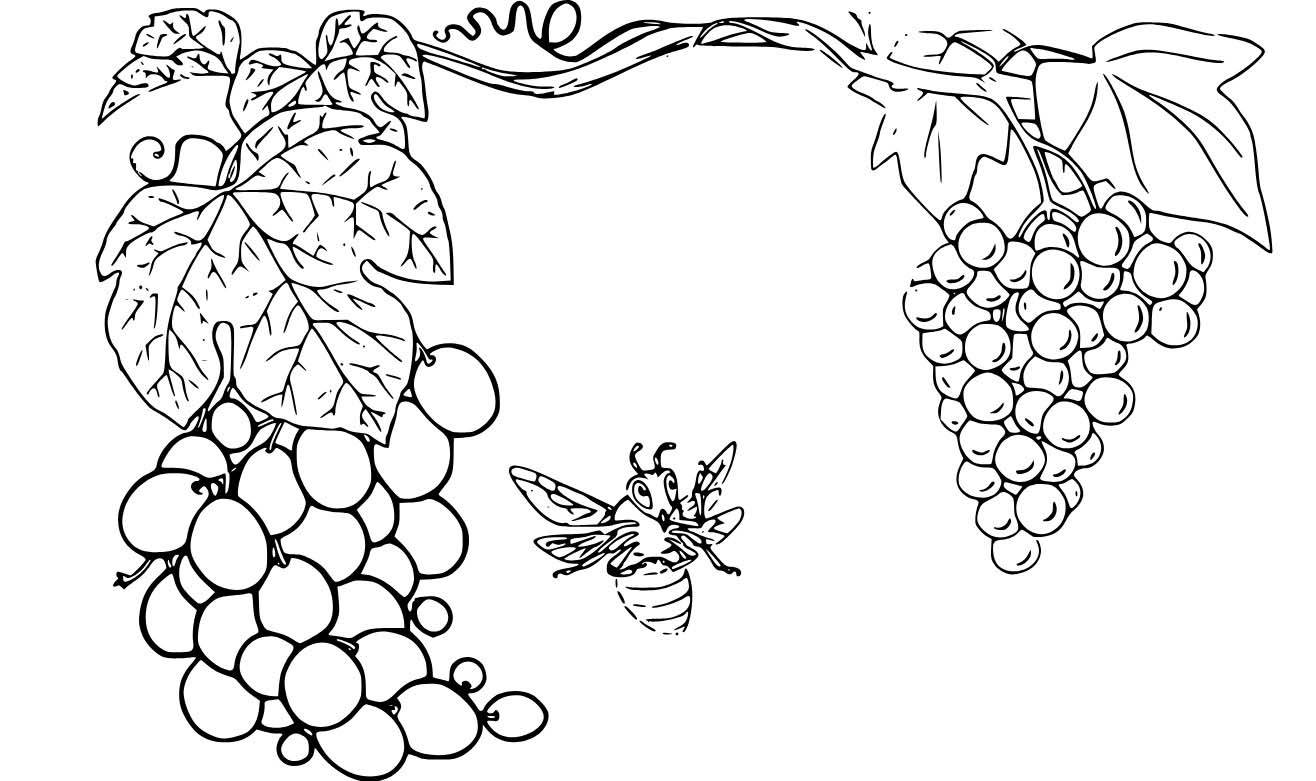 Hrozny 5 omalovánka