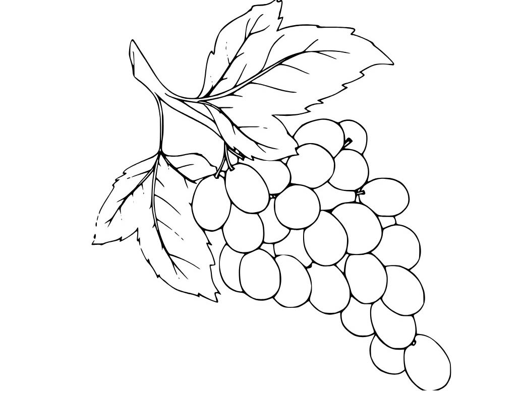 Hrozny zdarma pro děti omalovánka