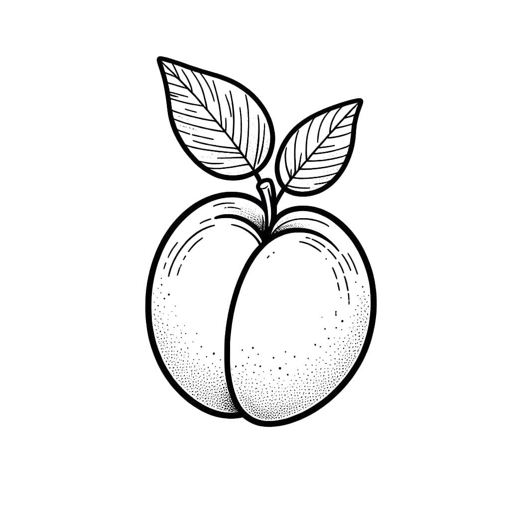 Meruňka 1 omalovánka