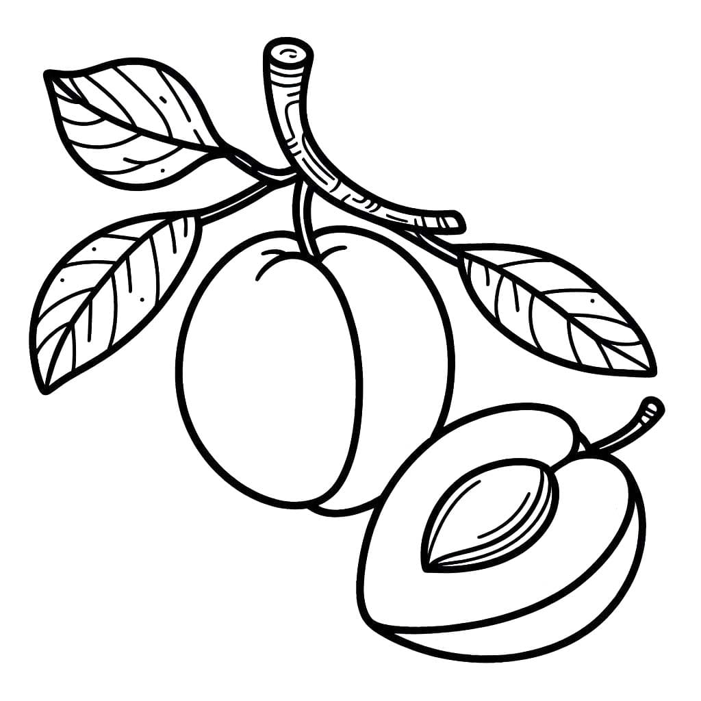 Meruňka 2 omalovánka