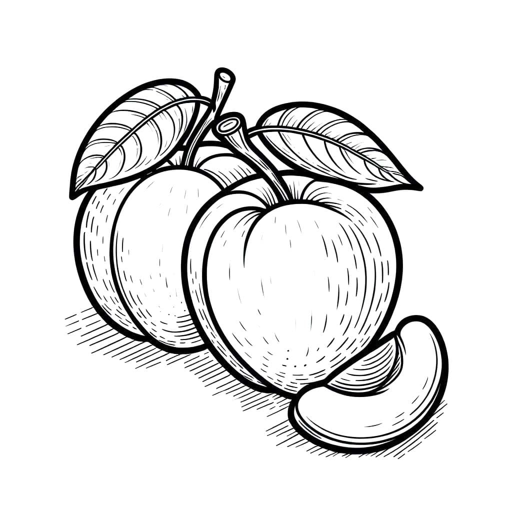 Meruňka 3 omalovánka