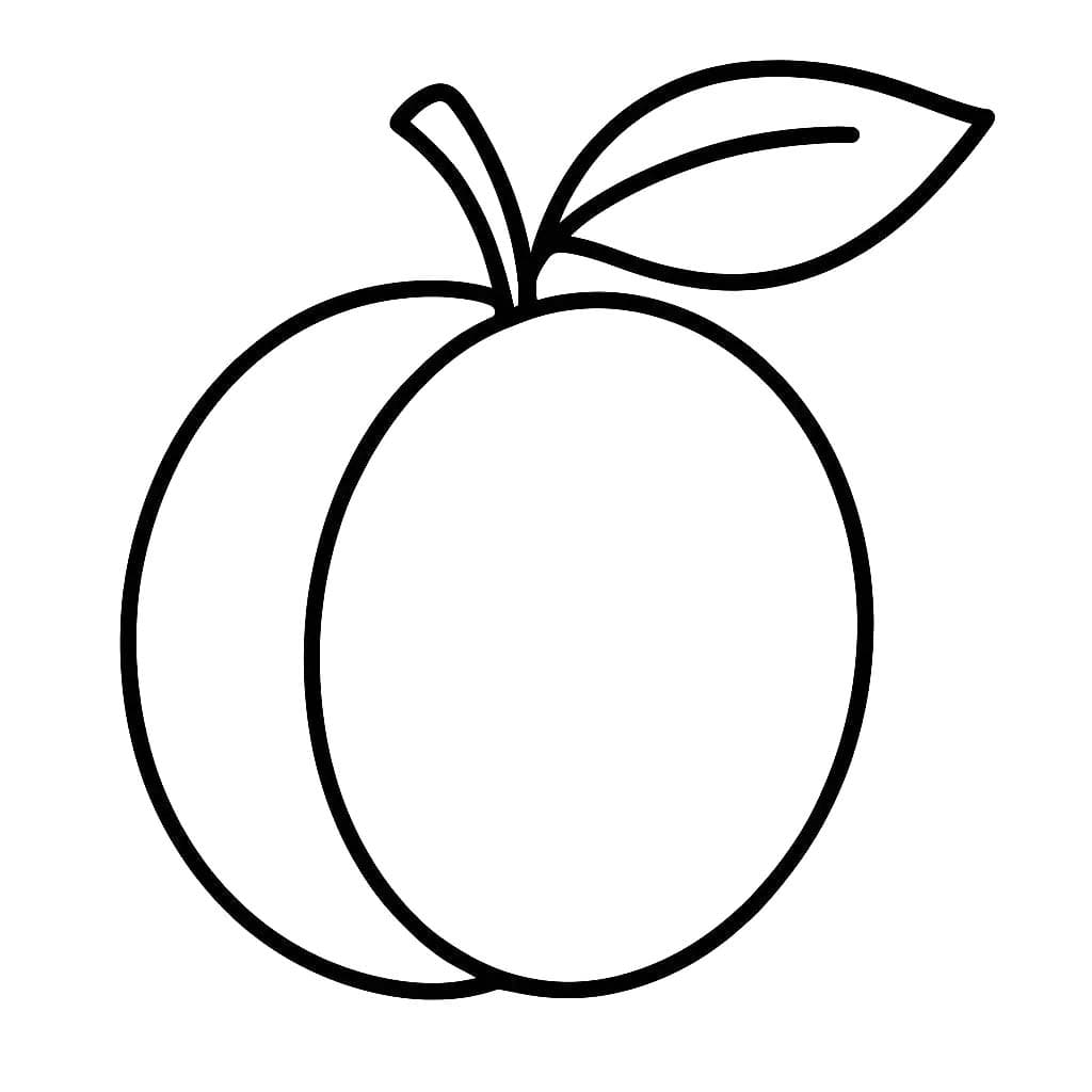 Meruňka 4 omalovánka