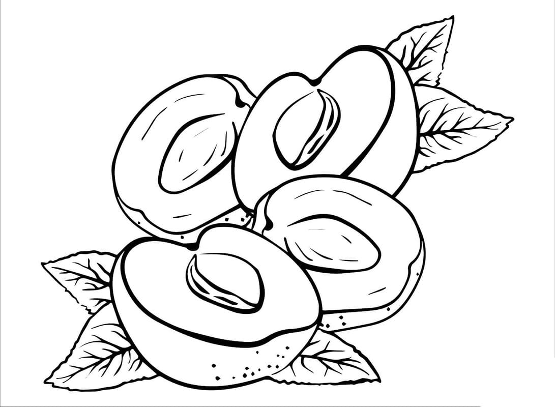 Meruňka 7 omalovánka