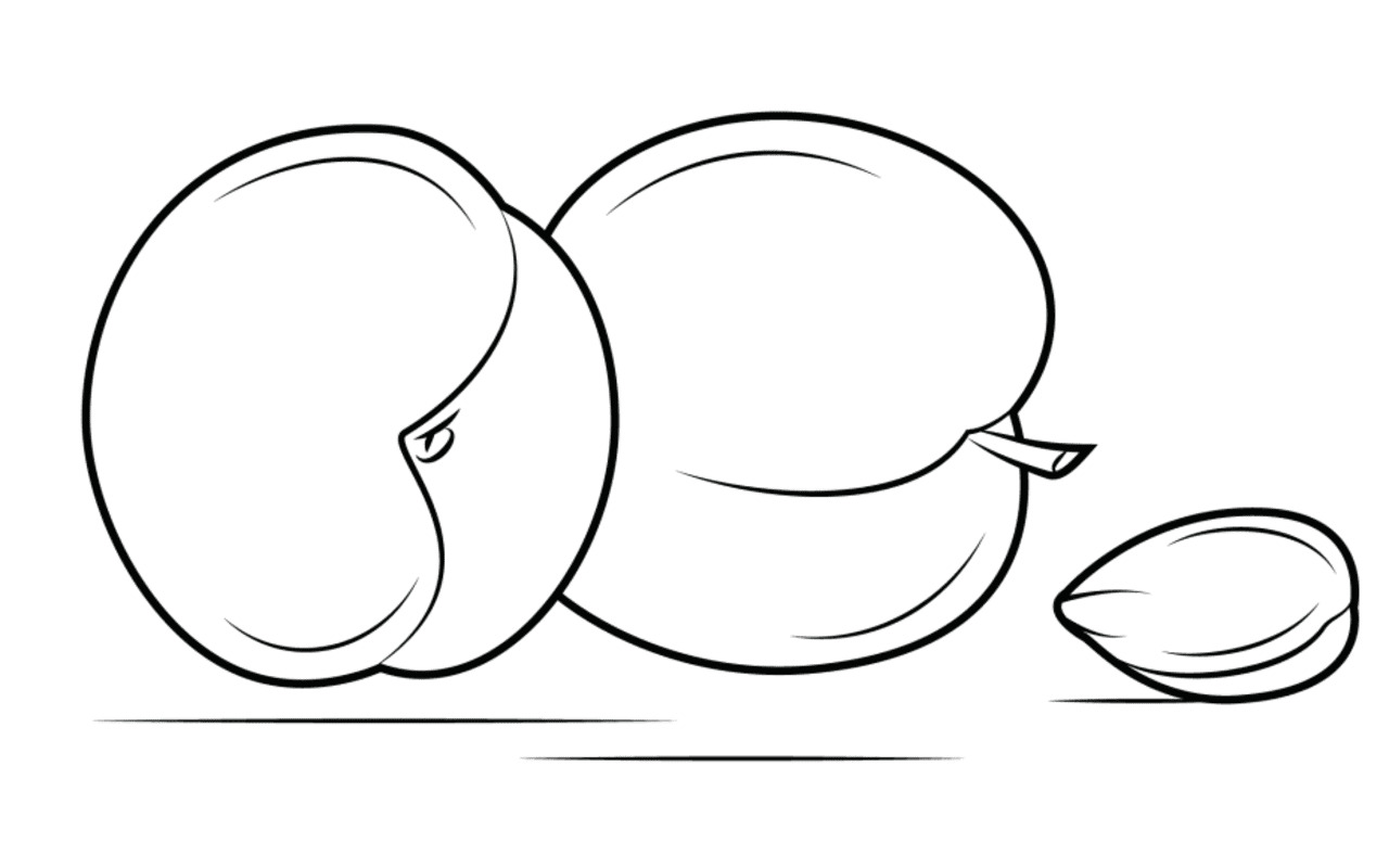 Meruňka zdarma pro děti omalovánka