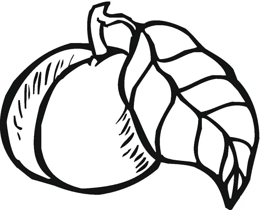 Nakreslete Broskev k vytisknutí omalovánka