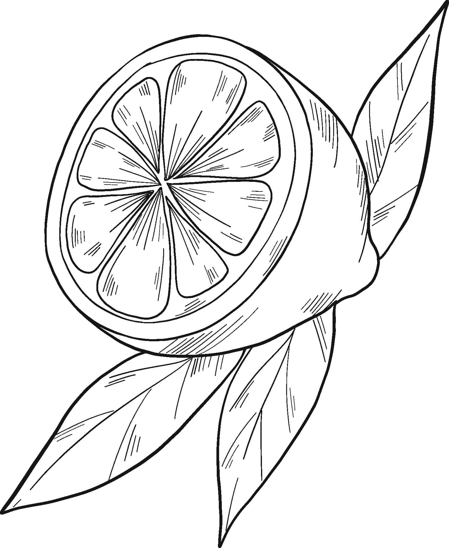 Nakreslete Citrón 8 omalovánka