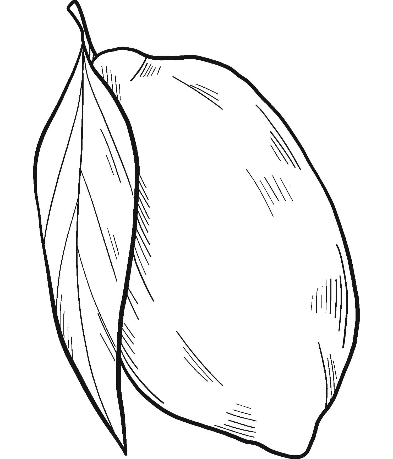 Nakreslete Citrón k vytisknutí omalovánka