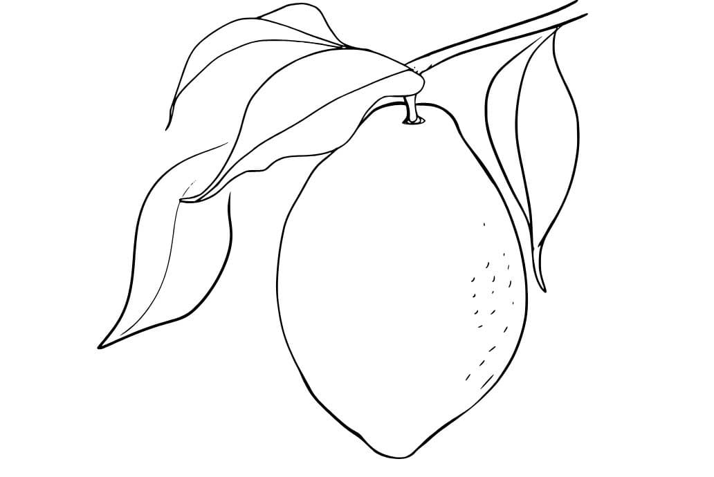 Nakreslete Citrón snadný tisknutelné omalovánka