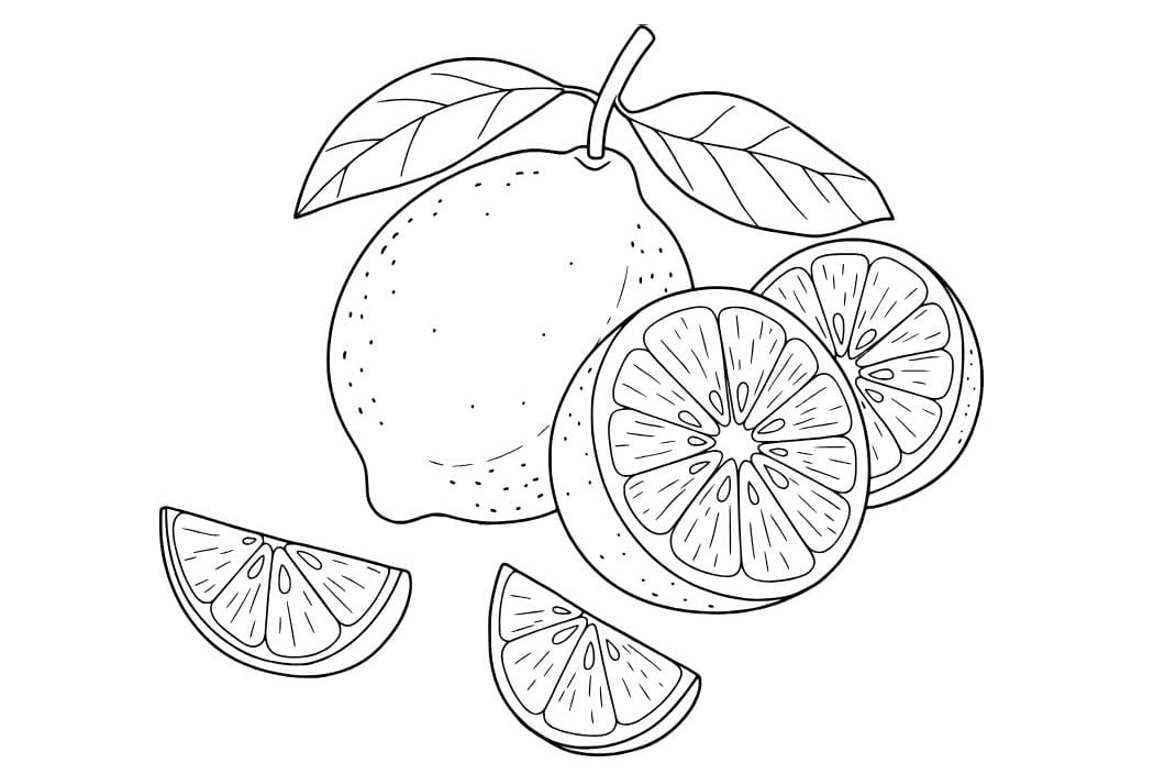 Nakreslete Citrón zdarma snadný tisknutelné omalovánka