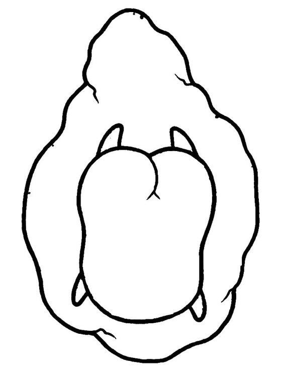 Nakreslete Gudetama základní u dětí omalovánka