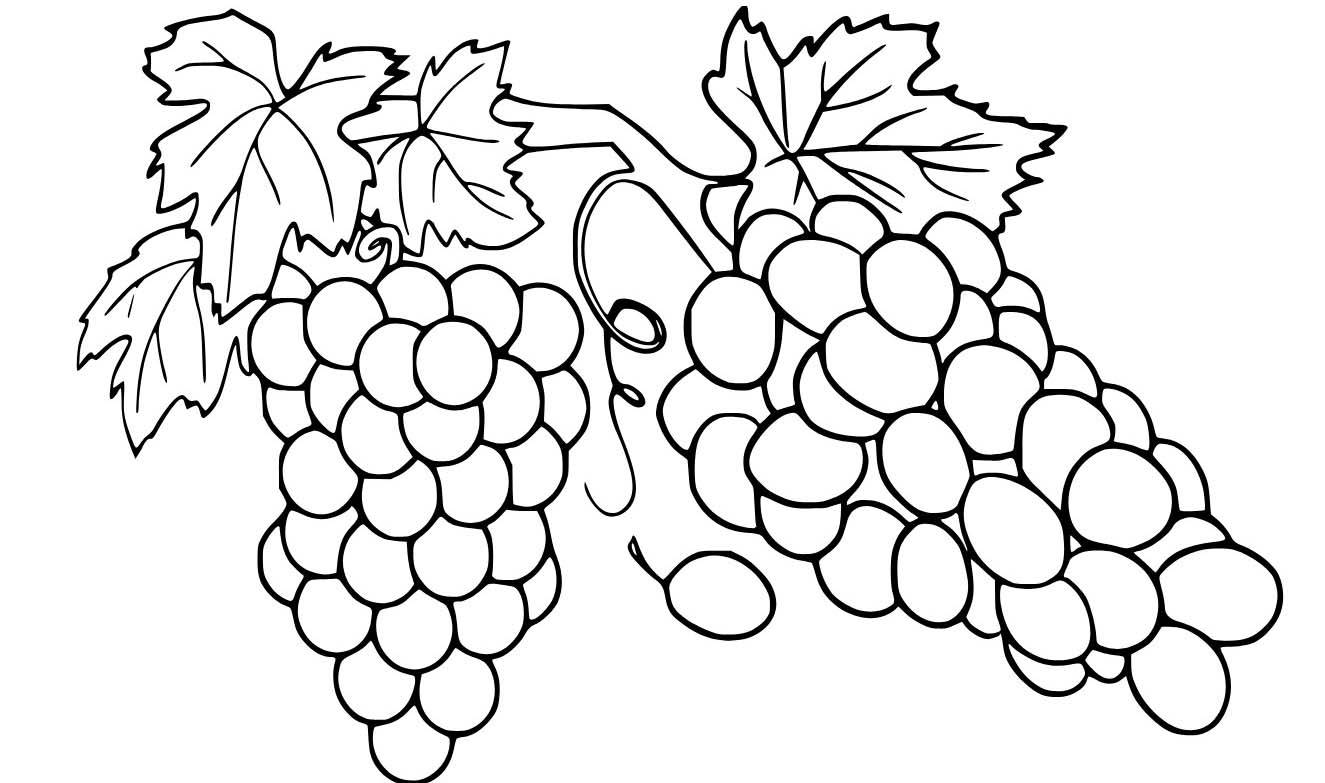Nakreslete Hrozny prostý u dětí omalovánka