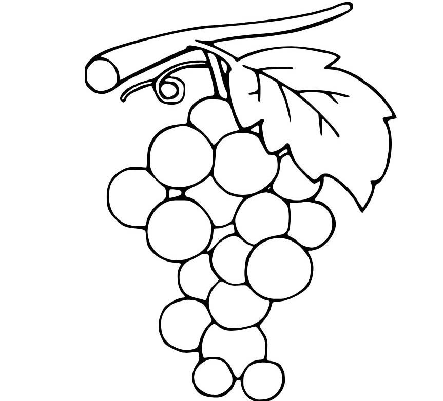 Hrozny omalovánky