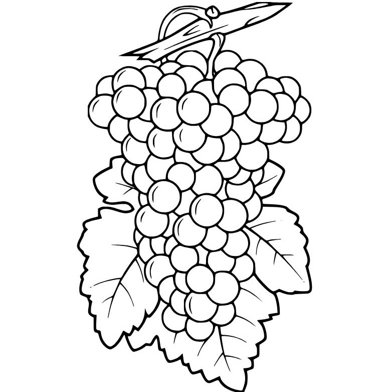 Nakreslete Hrozny skica omalovánka