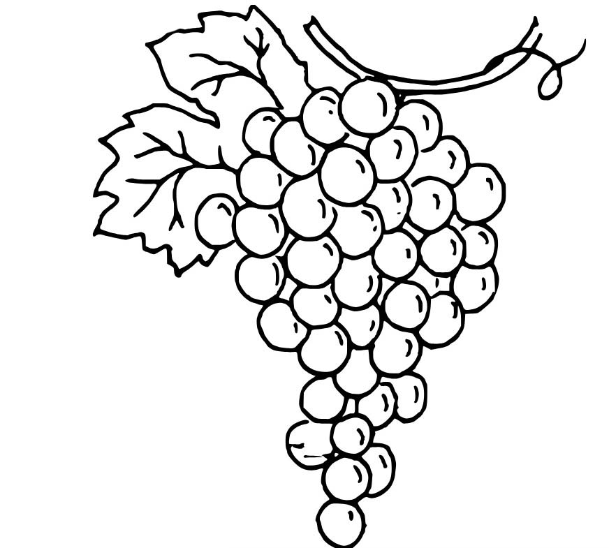 Nakreslete Hrozny základní u dětí omalovánka