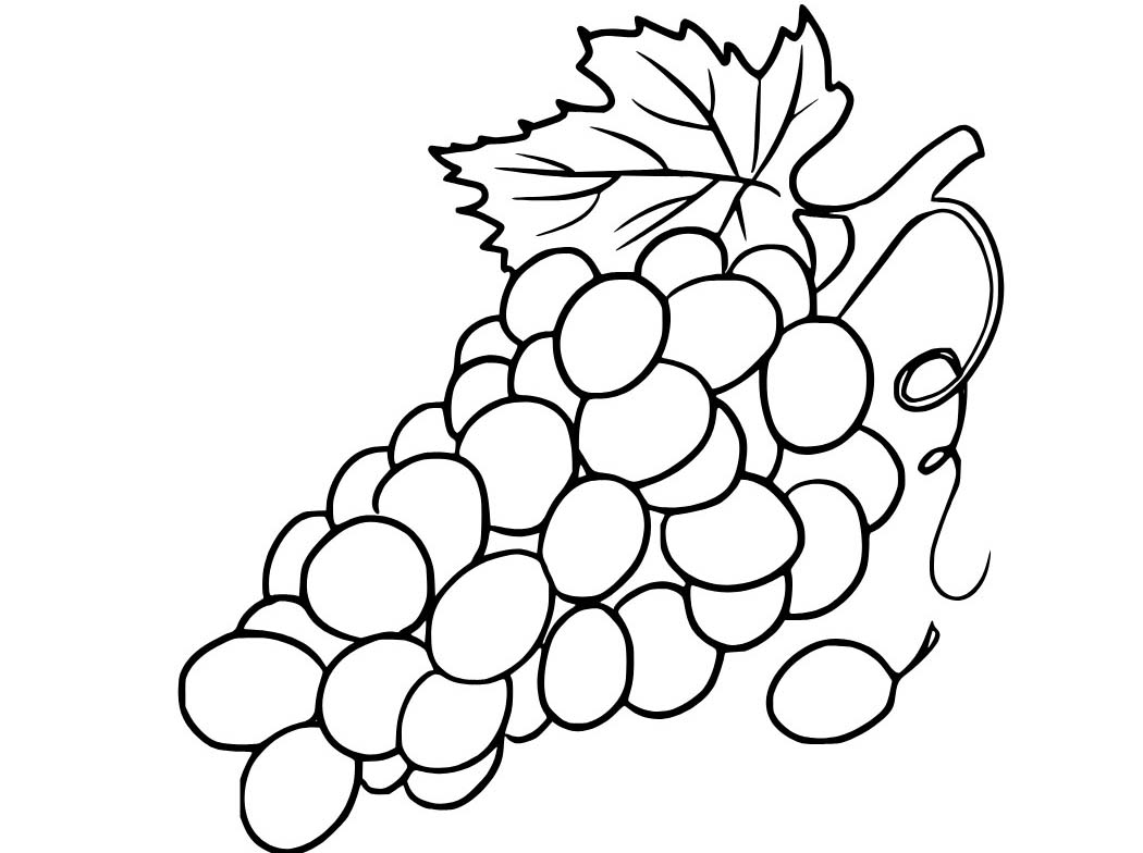 Nakreslete Hrozny základní omalovánka