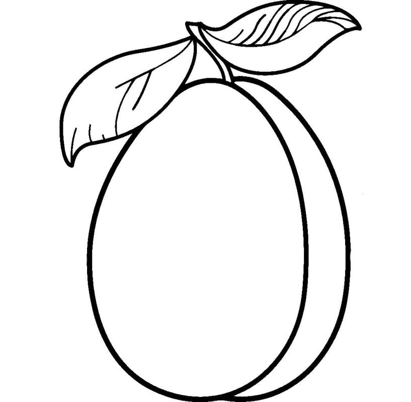 Nakreslete Meruňka ovoce omalovánka