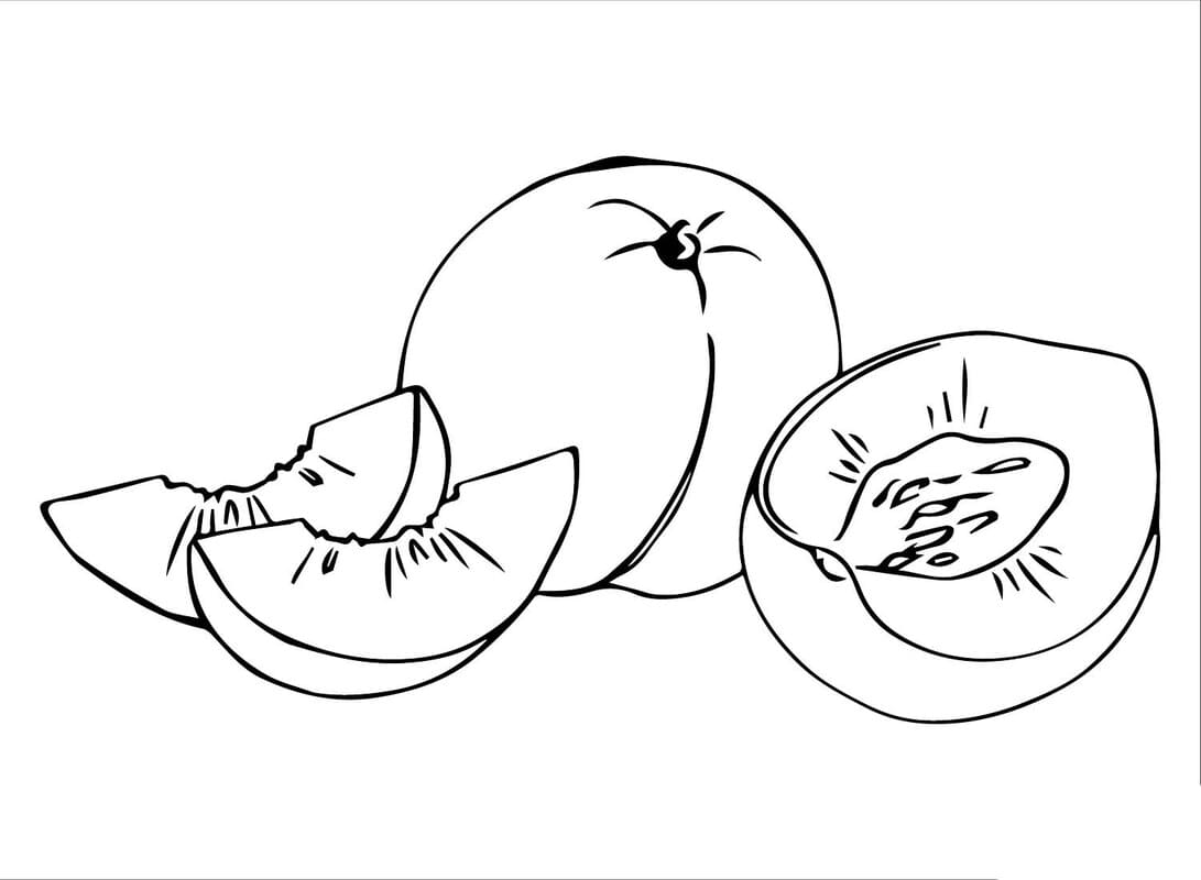 Nakreslete Meruňka omalovánka