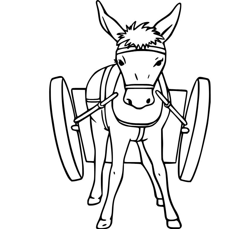 Nakreslete Osel 2 omalovánka