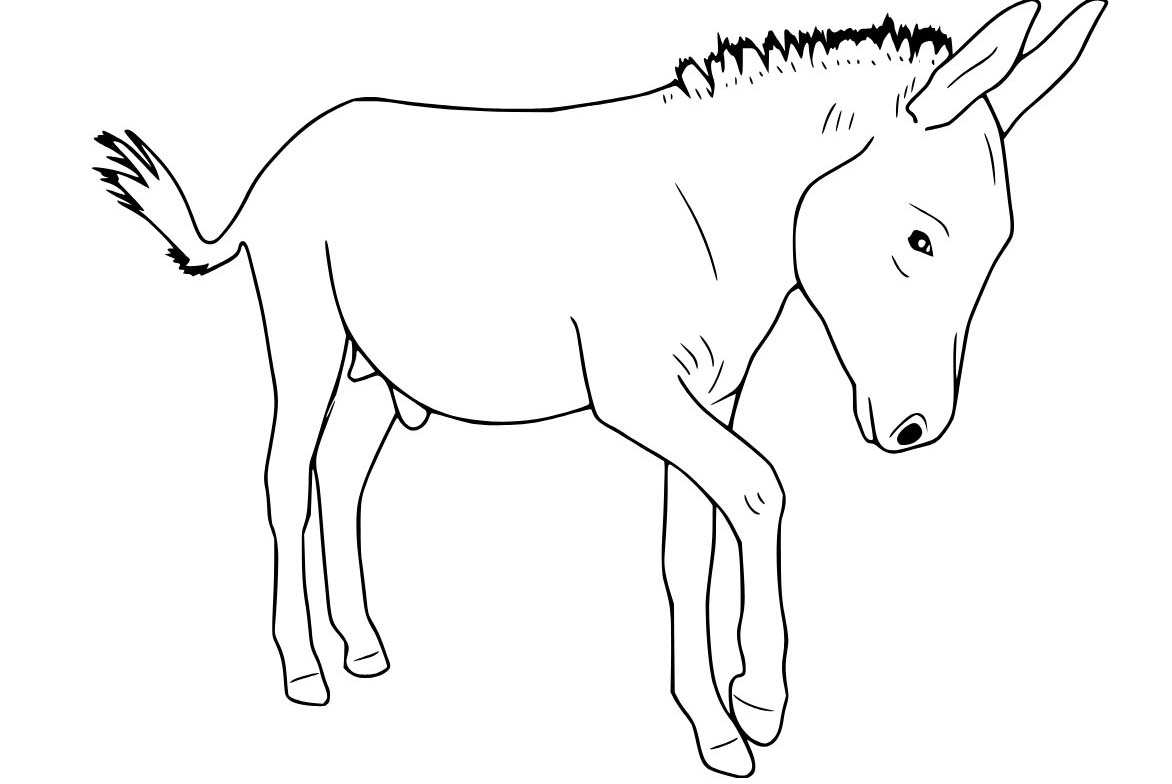 Nakreslete Osel 4 omalovánka