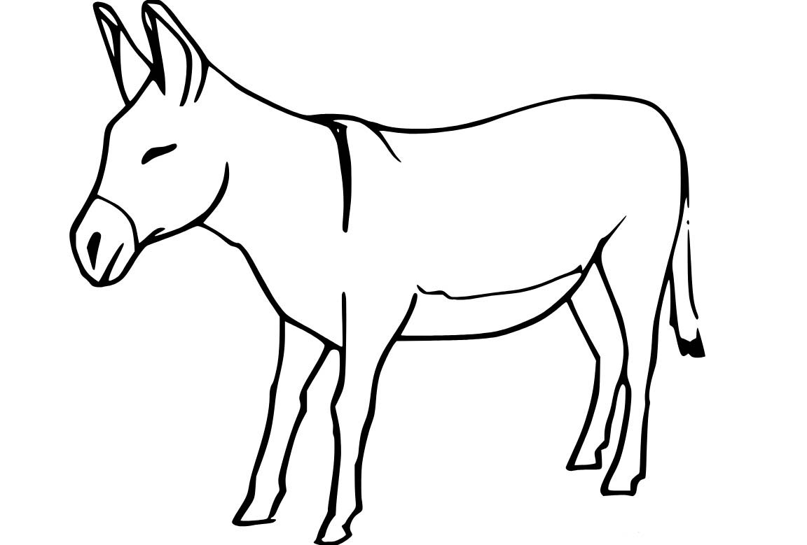 Nakreslete Osel 6 omalovánka