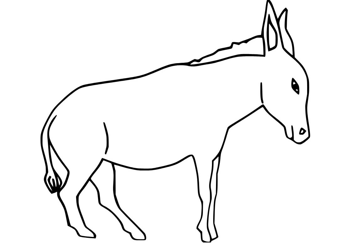 Nakreslete Osel snadný omalovánka