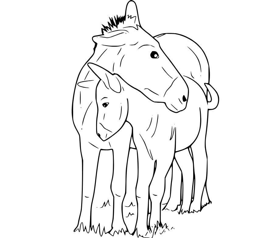 Nakreslete Osel tisknutelné pro děti omalovánka