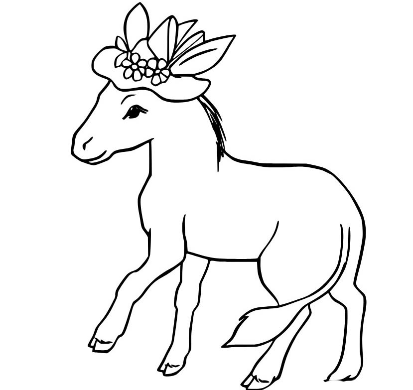 Nakreslete Osel základní u dětí omalovánka